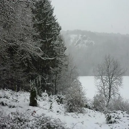 Apartment Peaceful Nature In Bohon *