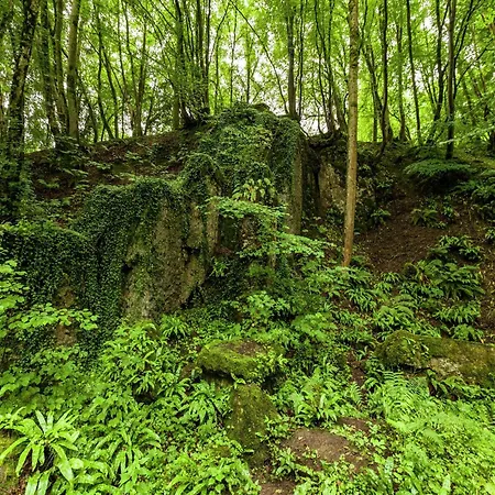 Peaceful Nature In Bohon * Barvaux