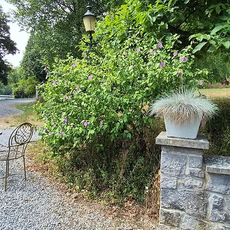 Peaceful Nature In Bohon Apartment Barvaux