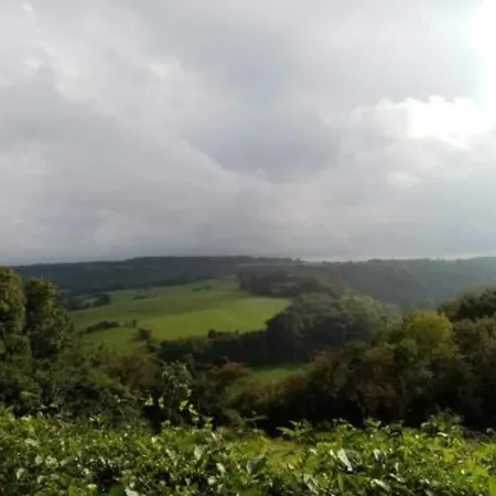 Apartment Peaceful Nature In Bohon Barvaux