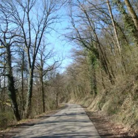 Peaceful Nature In Bohon *