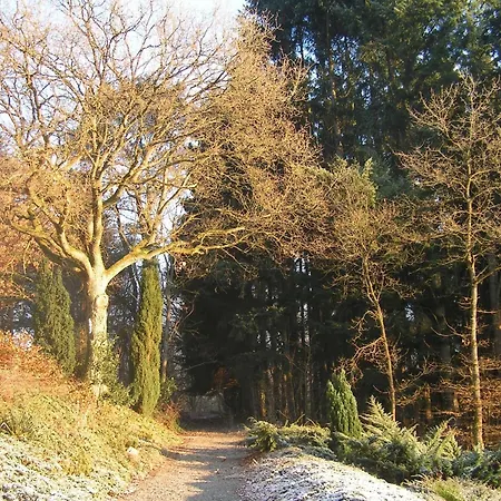 Peaceful Nature In Bohon