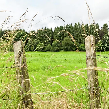 Peaceful Nature In Bohon