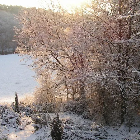 Peaceful Nature In Bohon Barvaux