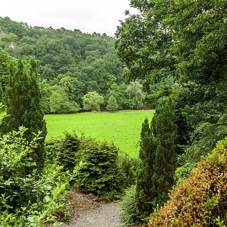 Peaceful Nature In Bohon Barvaux